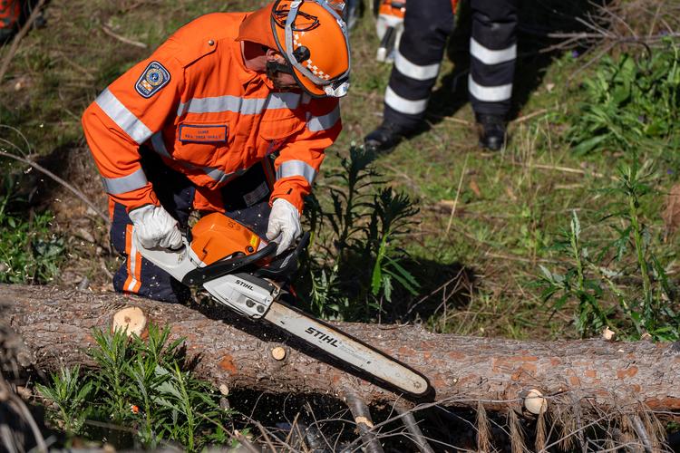 Emergency tree operations public skills australia